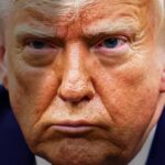 demandan-gobierno-trump-poner-en-peligro-ballemas-tortugas-golfo-de-mexico-extraccion-petroleo-gas-21052025