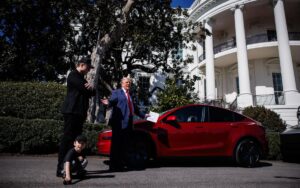 Trump-y-musk-060625