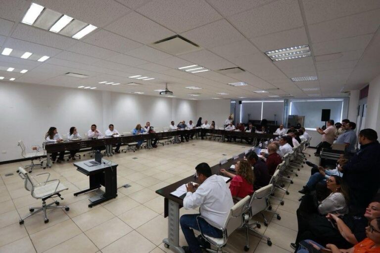 CEPPEMS-Tamaulipas constituye un espacio colegiado de coordinación interinstitucional que impulsa la elaboración, implementación y evaluación del Programa Estatal de Fortalecimiento Integral de la Educación Media Superior